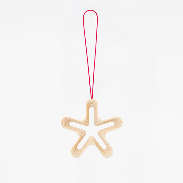 STEPS オーナメント HOSHI5