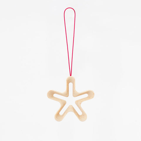 STEPS オーナメント HOSHI5