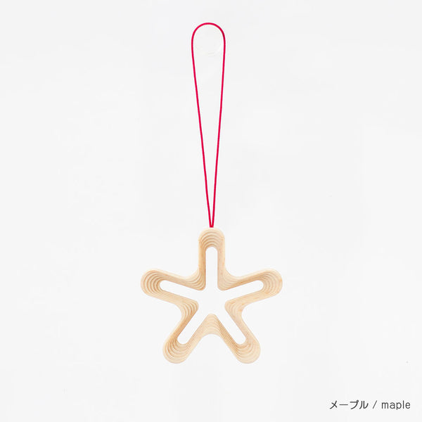 STEPS オーナメント HOSHI5