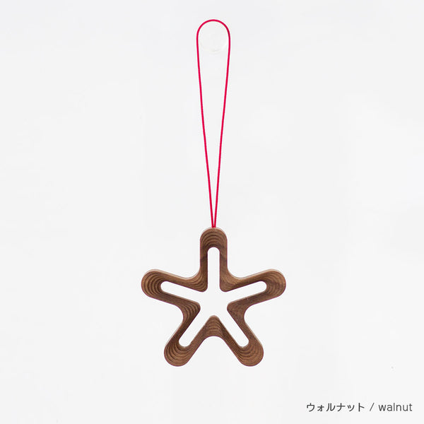 STEPS オーナメント HOSHI5