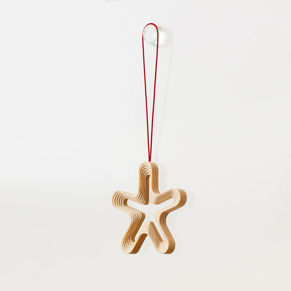 STEPS オーナメント HOSHI5