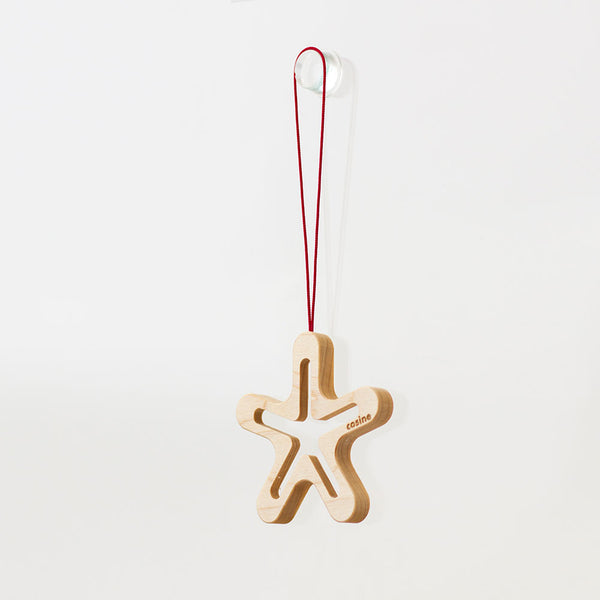 STEPS オーナメント HOSHI5