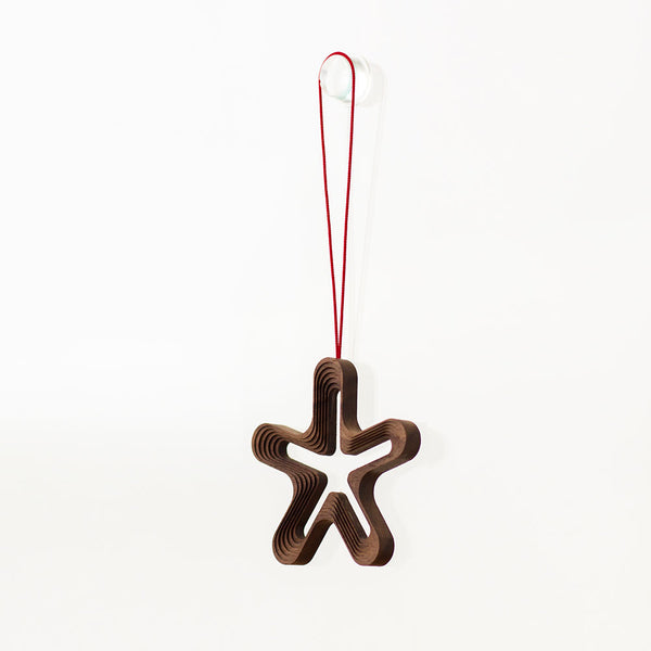 STEPS オーナメント HOSHI5